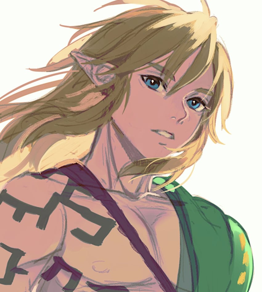 link (the legend of zelda and 1 more) drawn by eorinamo