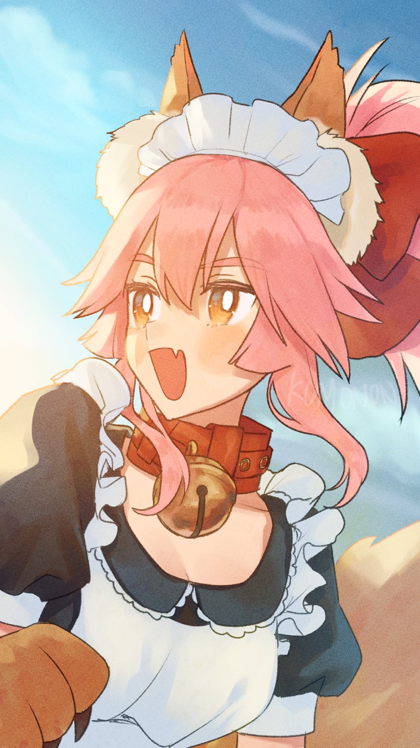 tamamo and tamamo cat (fate and 1 more) drawn by kumonon_(8f2k3)