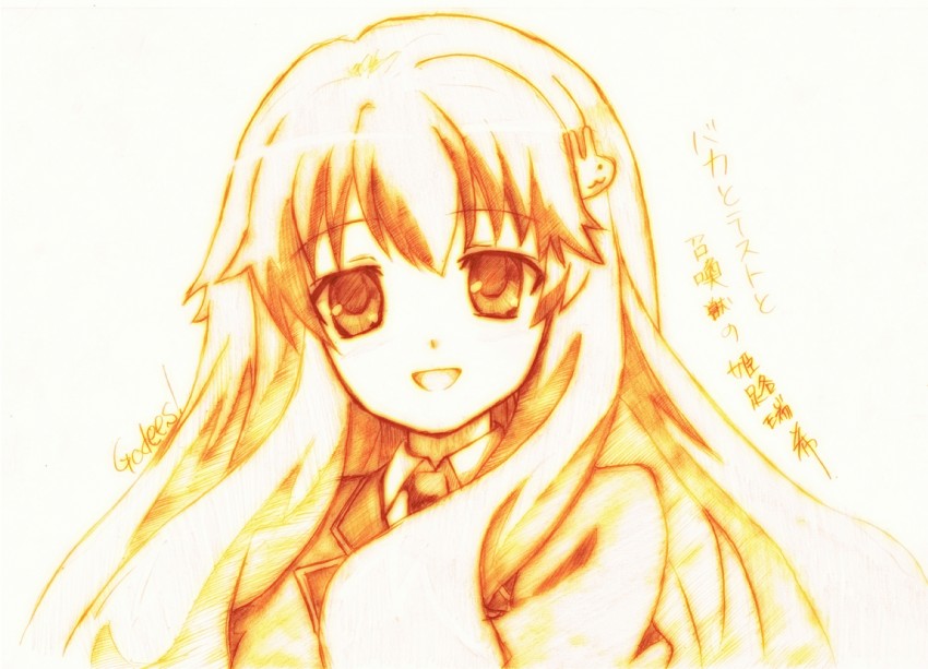 himeji mizuki (baka to test to shoukanjuu) drawn by godees