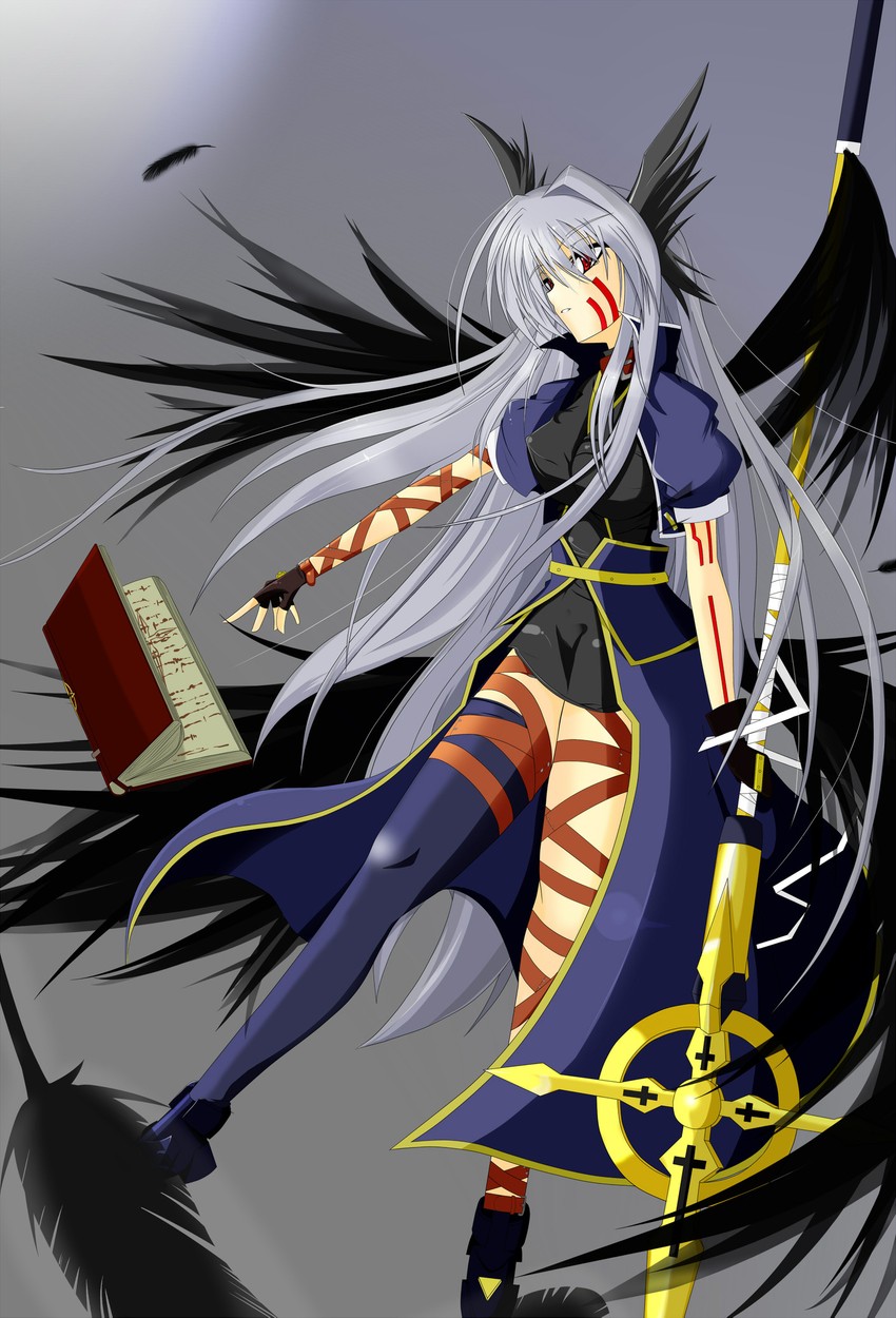 reinforce, schwertkreuz, and tome of the night sky (lyrical nanoha and 2 more)