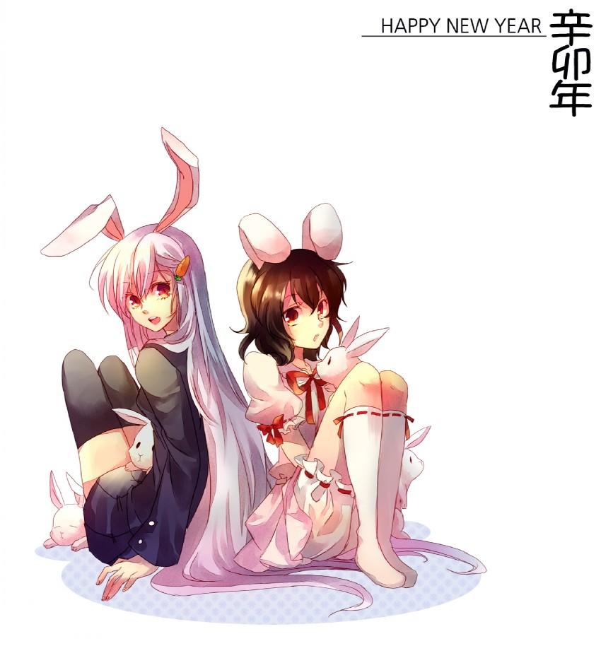reisen udongein inaba and inaba tewi (touhou) drawn by nr_(cmnrr)