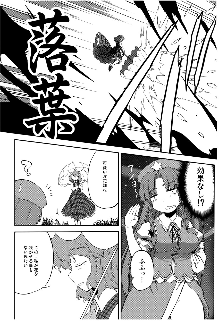 hong meiling and kazami yuuka (touhou) drawn by mizumoto_tadashi