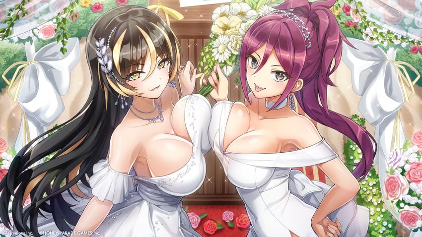 kurenashi yuuri and amadea wolfa (dolphin wave) drawn by ootomo_takuji