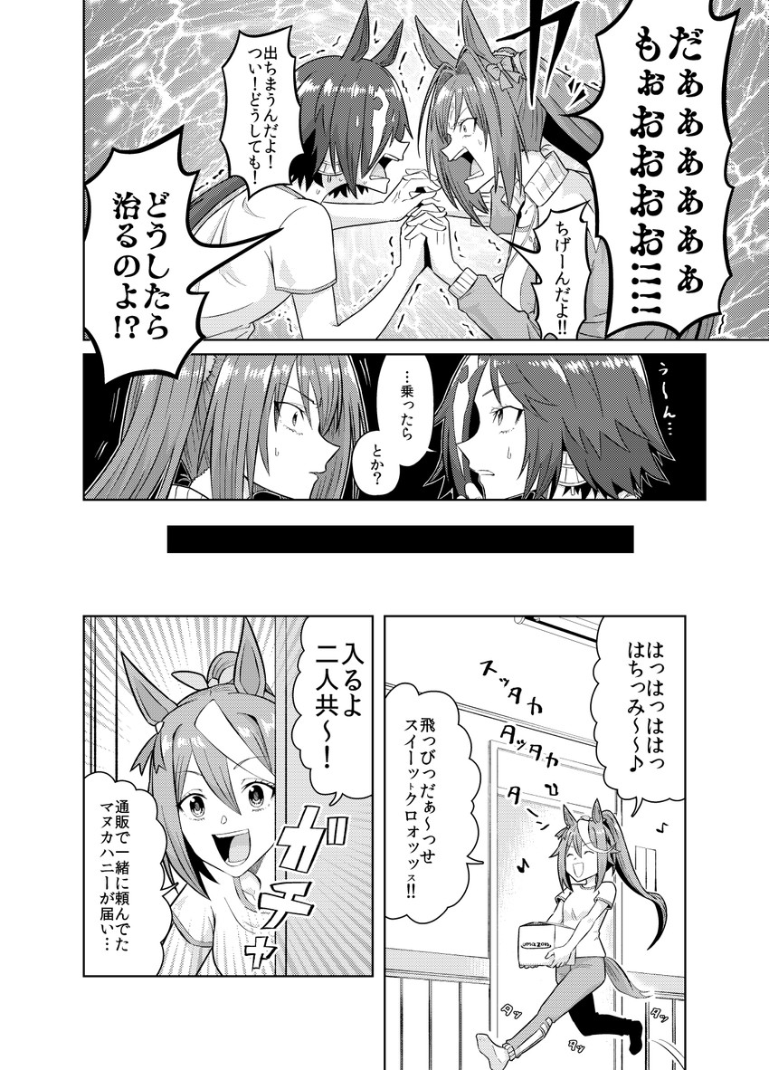daiwa scarlet, tokai teio, and vodka (umamusume and 1 more) drawn by birii