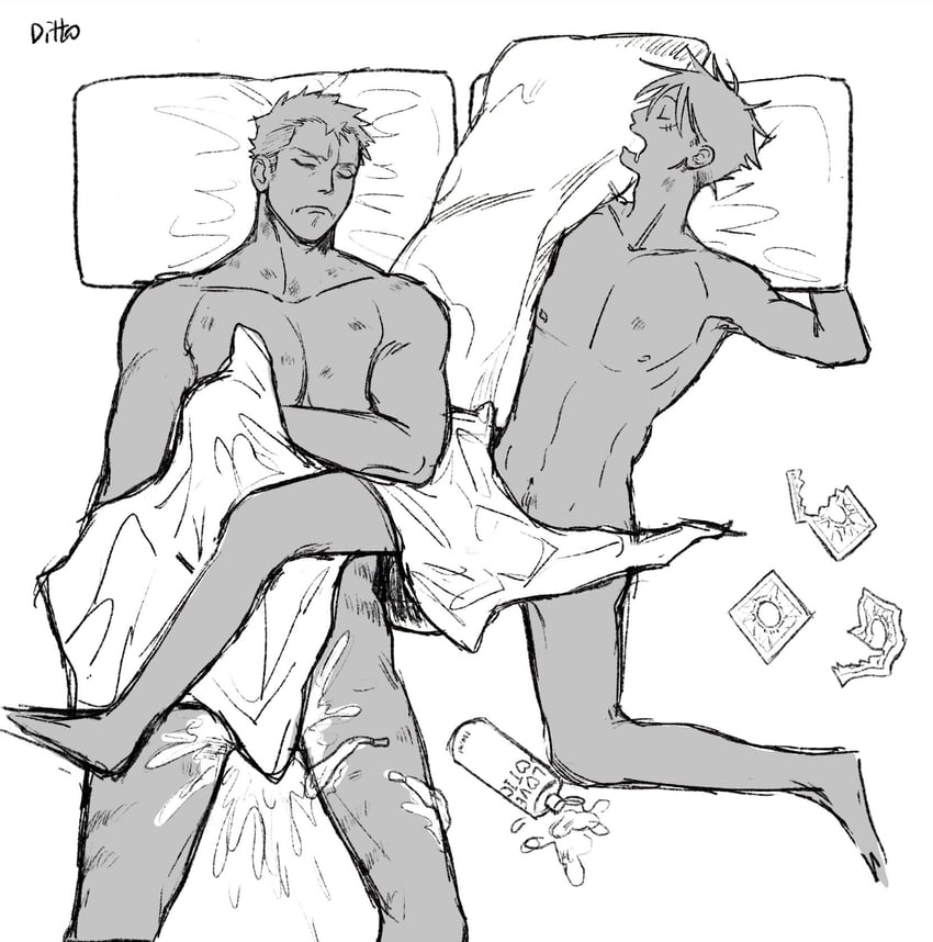 monkey d. luffy and roronoa zoro (one piece)
