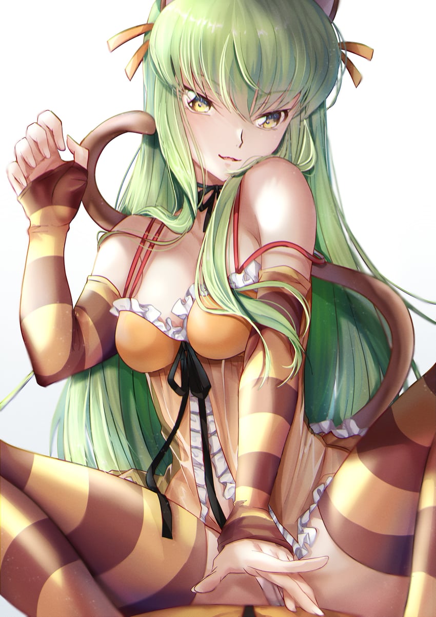 c.c. and cheshire cat (code geass and 1 more) drawn by budgiepon