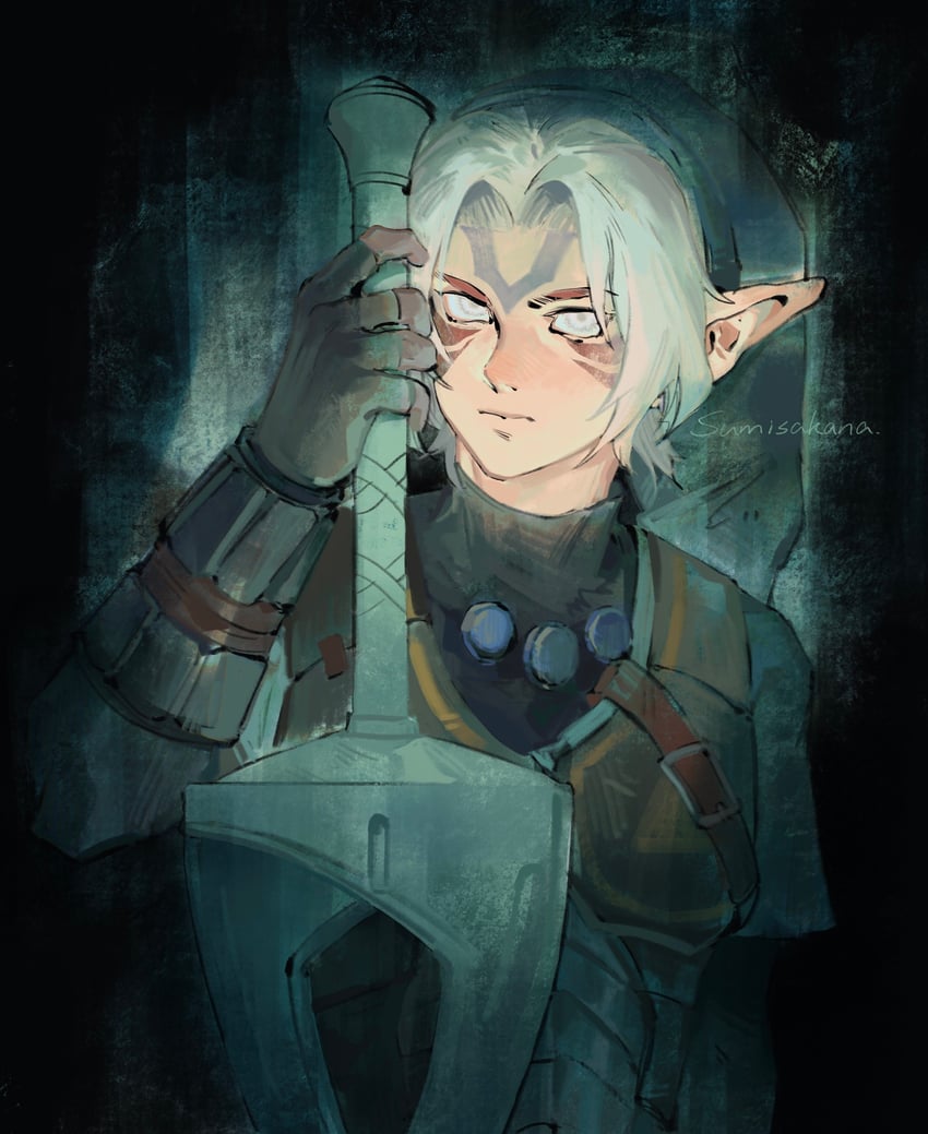 link and fierce deity (the legend of zelda and 1 more) drawn by sumisakana