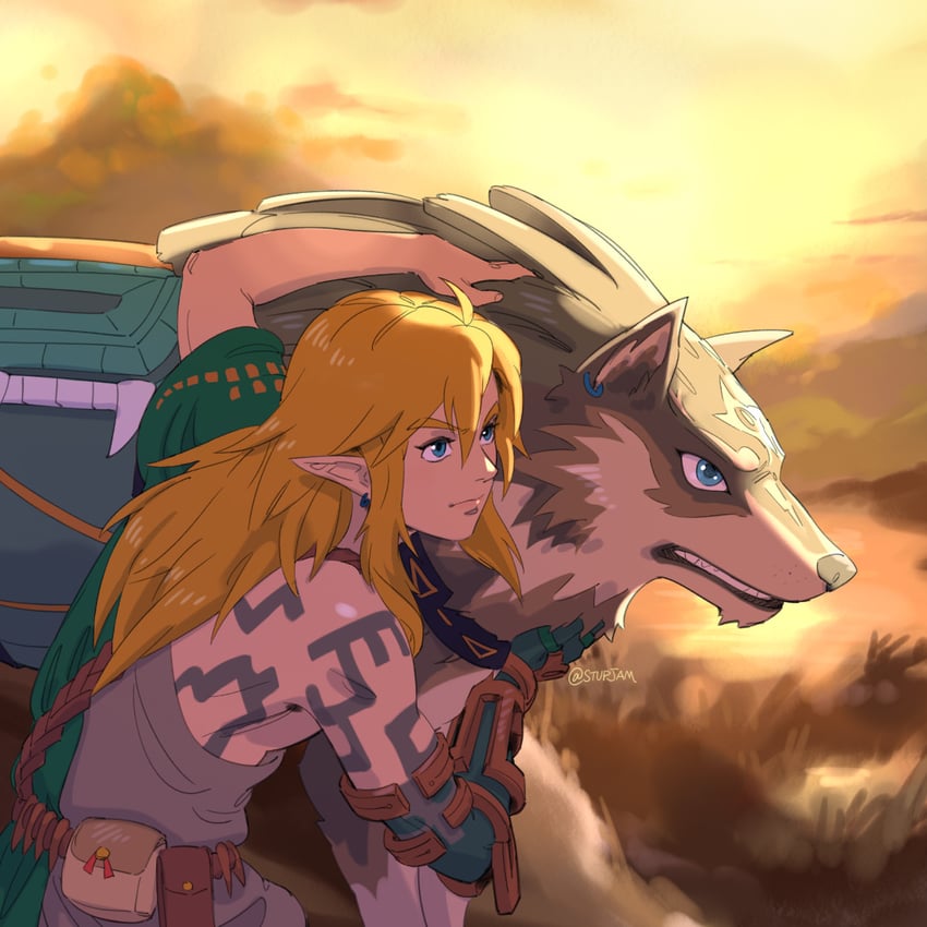 link and wolf link (the legend of zelda and 2 more) drawn by stup-jam