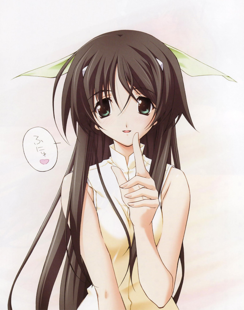misasagi inori (memories off and 1 more)