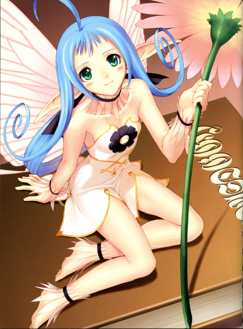 maple (shining and 1 more) drawn by tony_taka