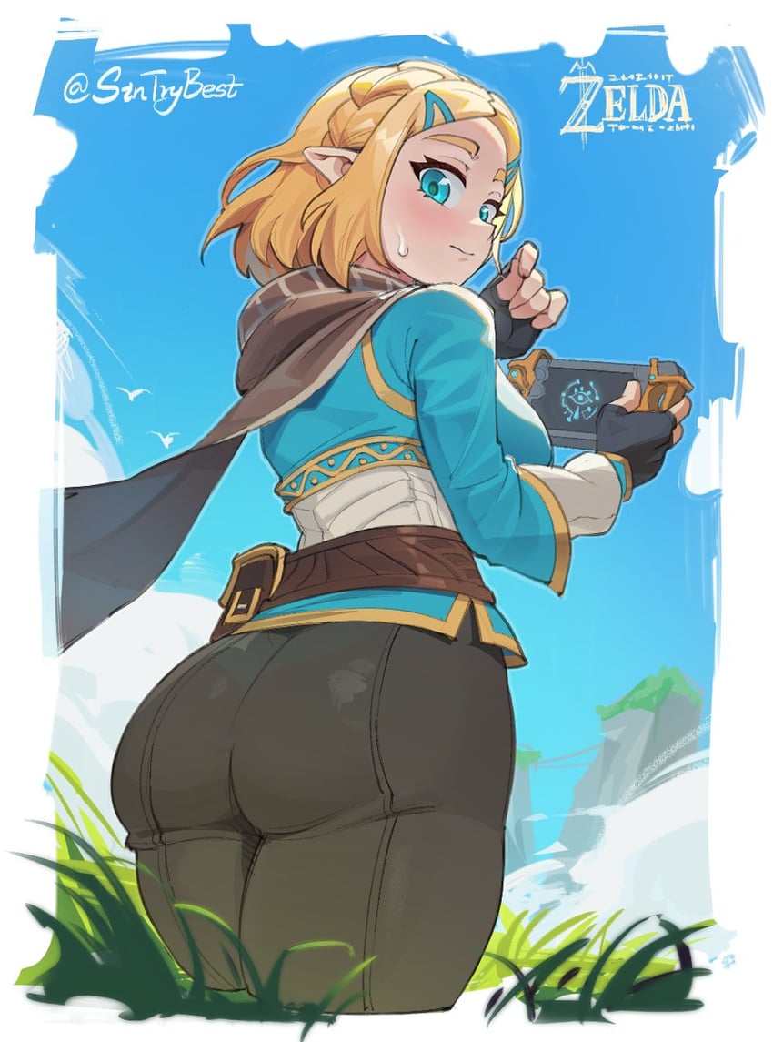 princess zelda (the legend of zelda and 1 more) drawn by sin_(sintrybest)
