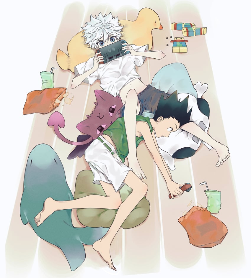 killua zoldyck and gon freecss (hunter x hunter) drawn by dotori4924