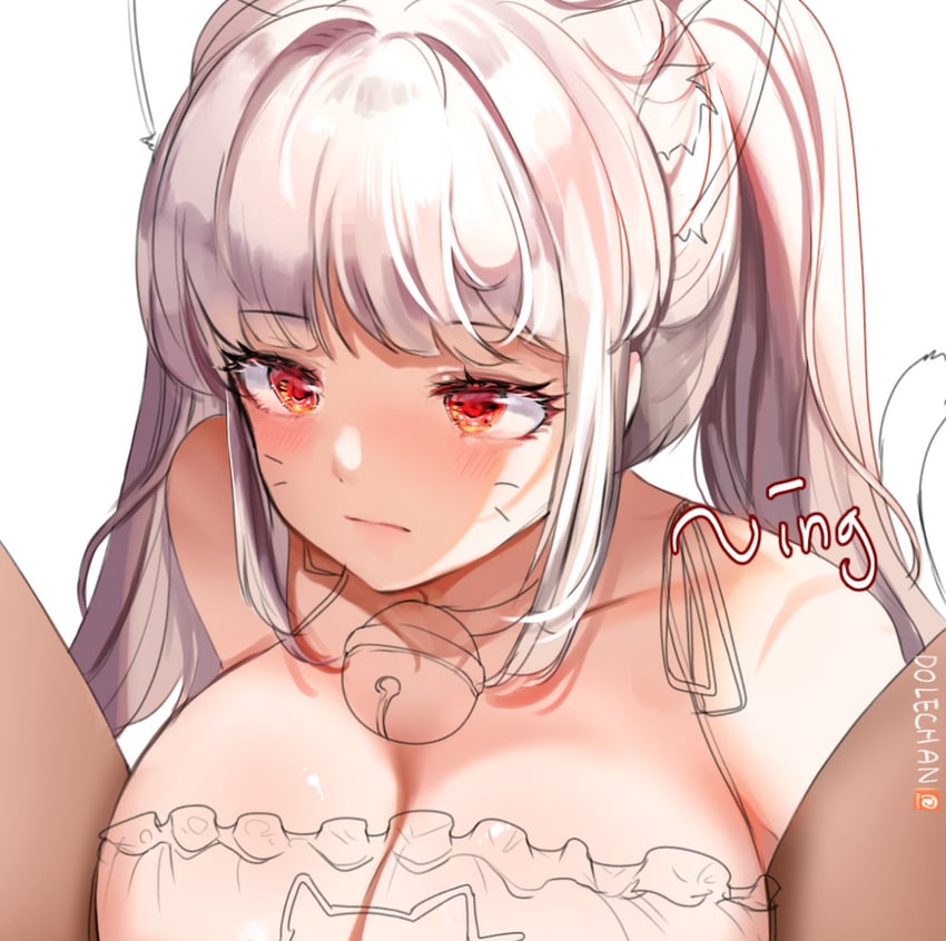silver luster tagore (dungeon and fighter) drawn by dolechan