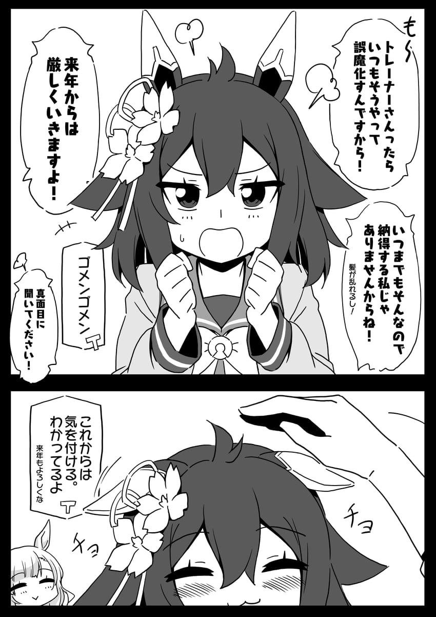 mejiro ardan and sakura chiyono o (umamusume) drawn by yamaki_anp