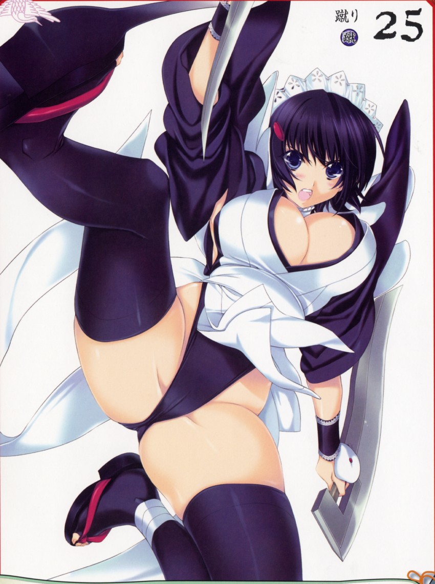 iroha (queen's blade and 2 more) drawn by iizuki_tasuku