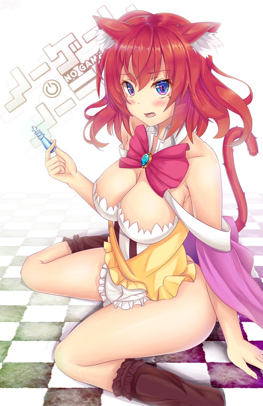 stephanie dora (no game no life) drawn by kaptivate