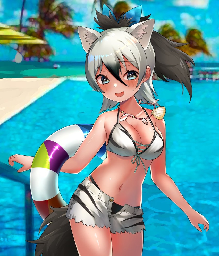 aardwolf (kemono friends and 1 more) drawn by choir_(artist)
