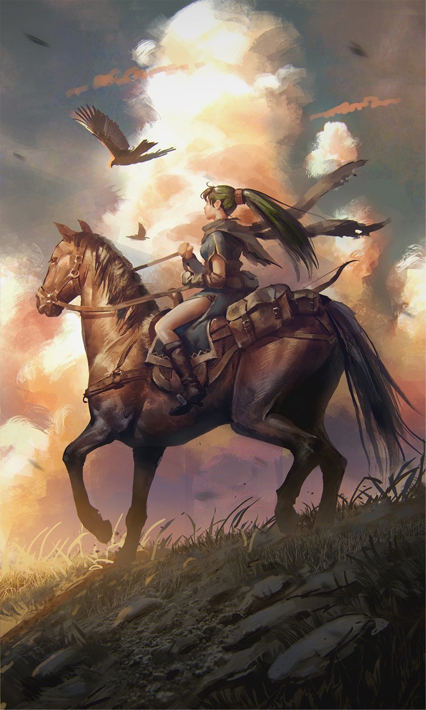 lyn (fire emblem and 1 more) drawn by illustman_(u_ip8s)
