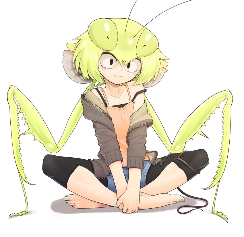 mantis akiyama (original and 1 more) drawn by evolvingmonkey