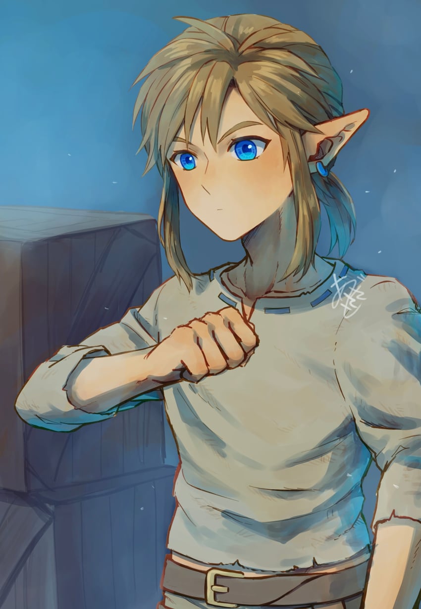 link (the legend of zelda and 1 more) drawn by agisato