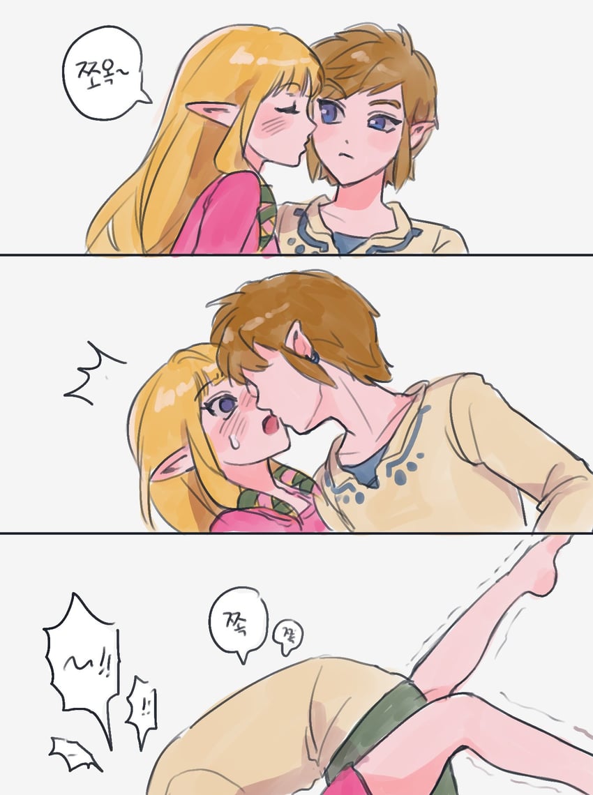 link and princess zelda (the legend of zelda and 1 more) drawn by didi_en_ilu