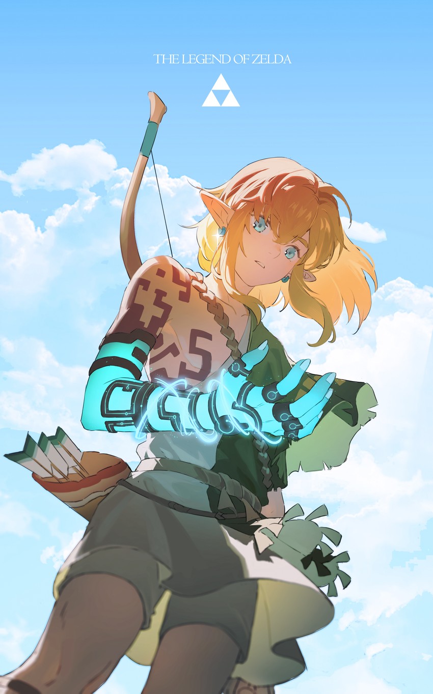 link (the legend of zelda and 1 more) drawn by t5oy7a8