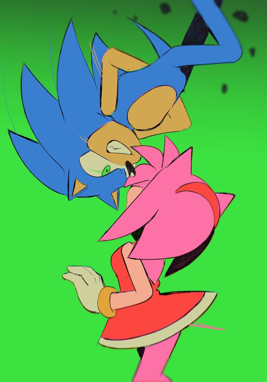 sonic the hedgehog and amy rose (sonic) drawn by chinchila010