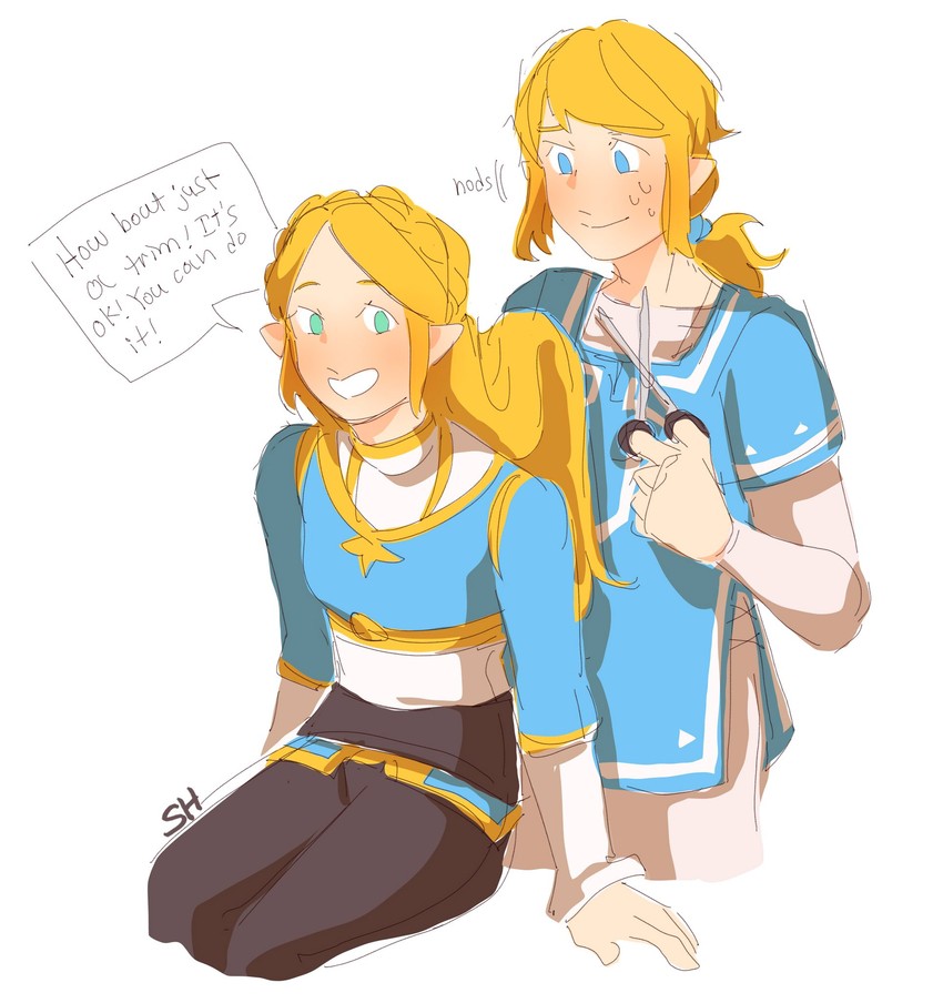 link and princess zelda (the legend of zelda and 2 more) drawn by shahaechan