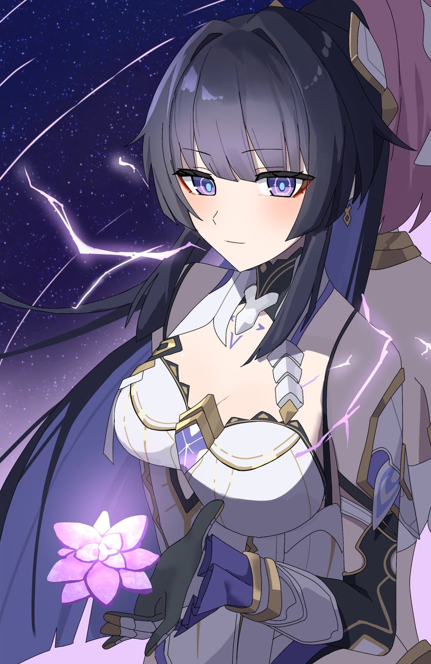 raiden mei and elysia (honkai and 1 more) drawn by h2o_omizu
