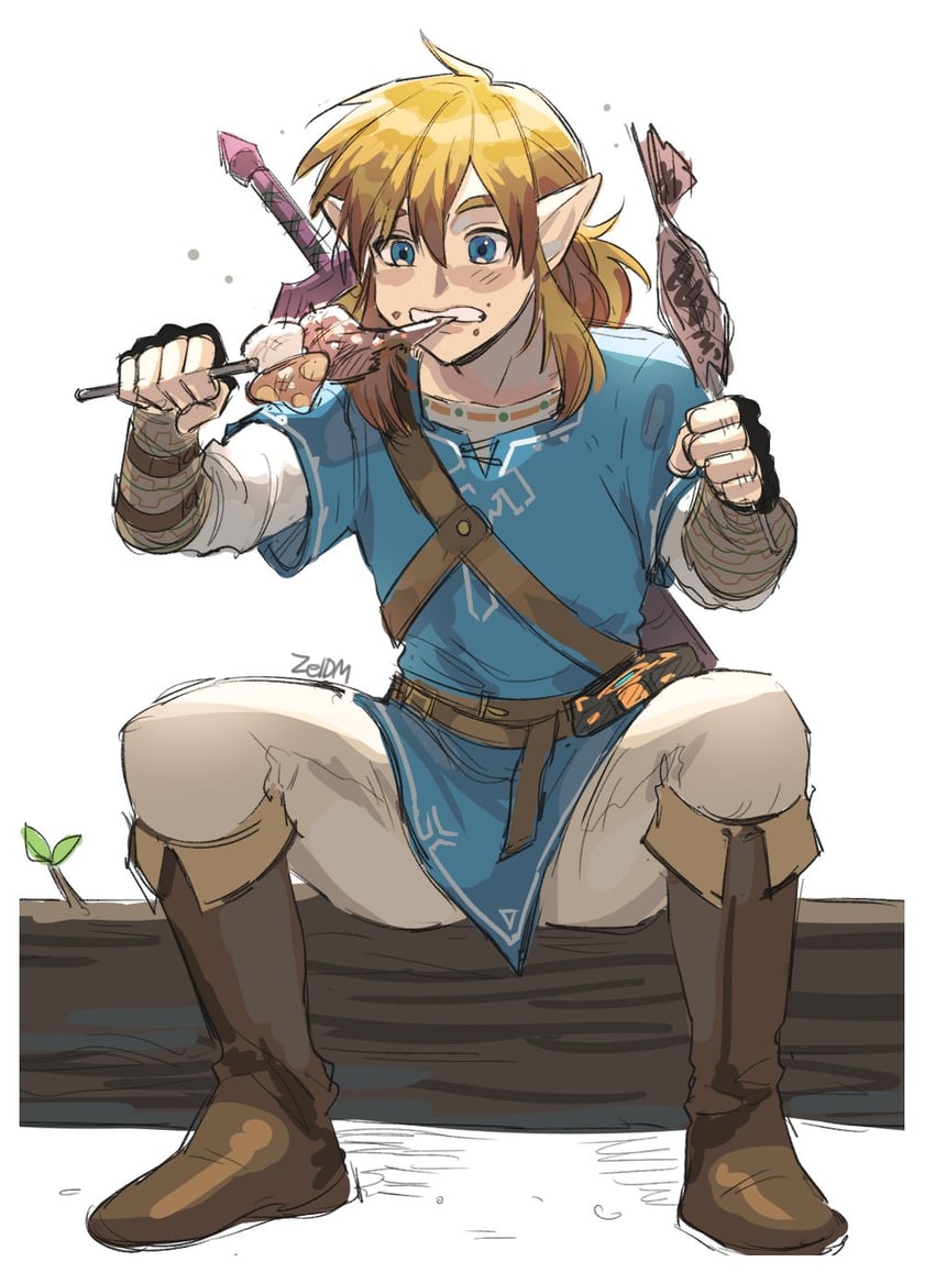 link (the legend of zelda and 1 more) drawn by zeldm