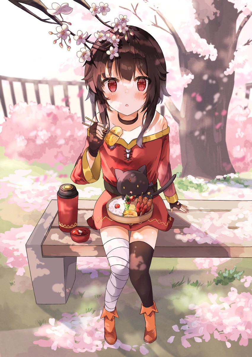 megumin and chomusuke (kono subarashii sekai ni shukufuku wo!) drawn by yuno_(suke_yuno)