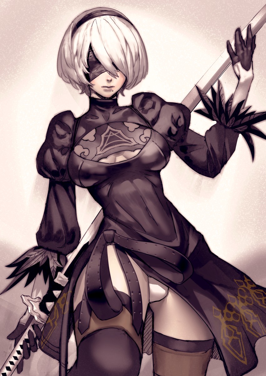 2b (nier and 1 more) drawn by thinker_0616