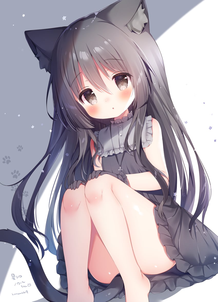 noir (hoshizora tetsudou to shiro no tabi) drawn by momozu_komamochi