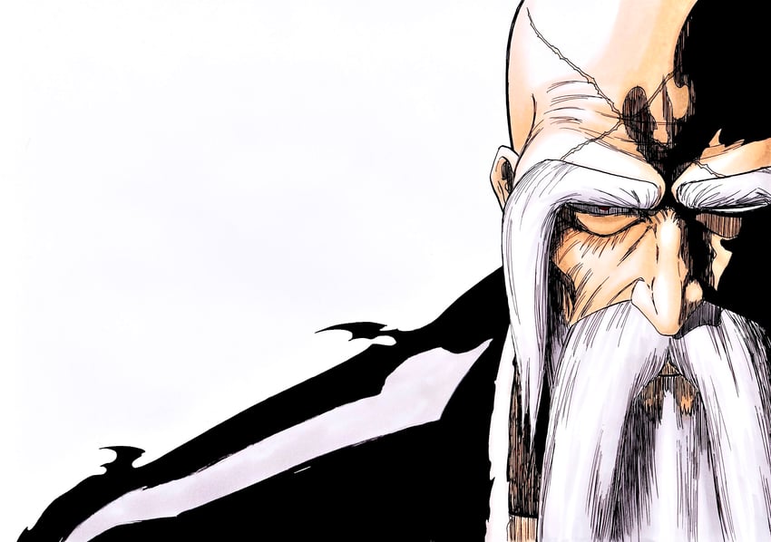 yamamoto-genryuusai shigekuni (bleach and 1 more) drawn by alpen_no_koyari