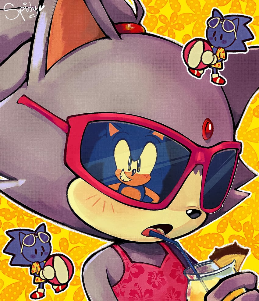 sonic the hedgehog and blaze the cat (sonic and 1 more) drawn by spidercheetos