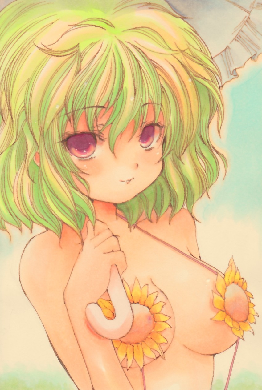kazami yuuka (touhou) drawn by nishina_masato