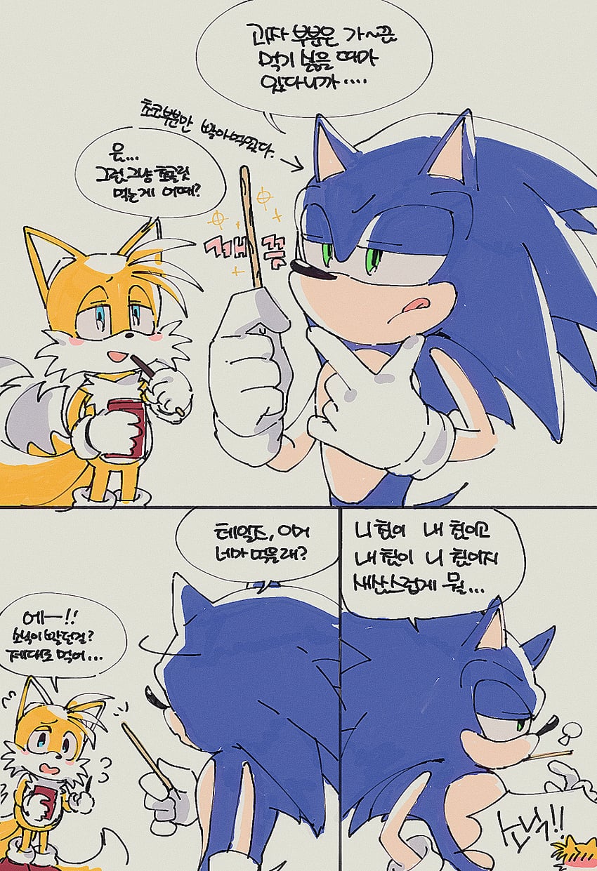 sonic the hedgehog and tails (sonic) drawn by banri_0917