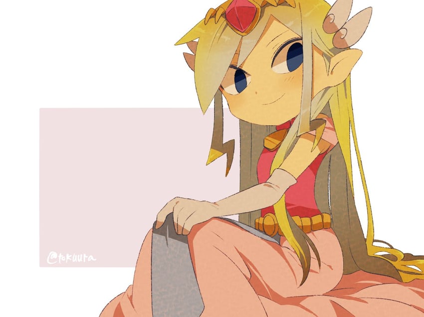 princess zelda and toon zelda (the legend of zelda and 2 more) drawn by tokuura
