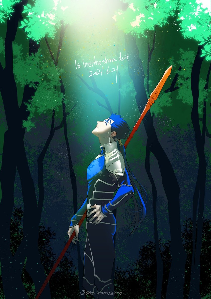 cu chulainn (fate and 1 more) drawn by maruzero