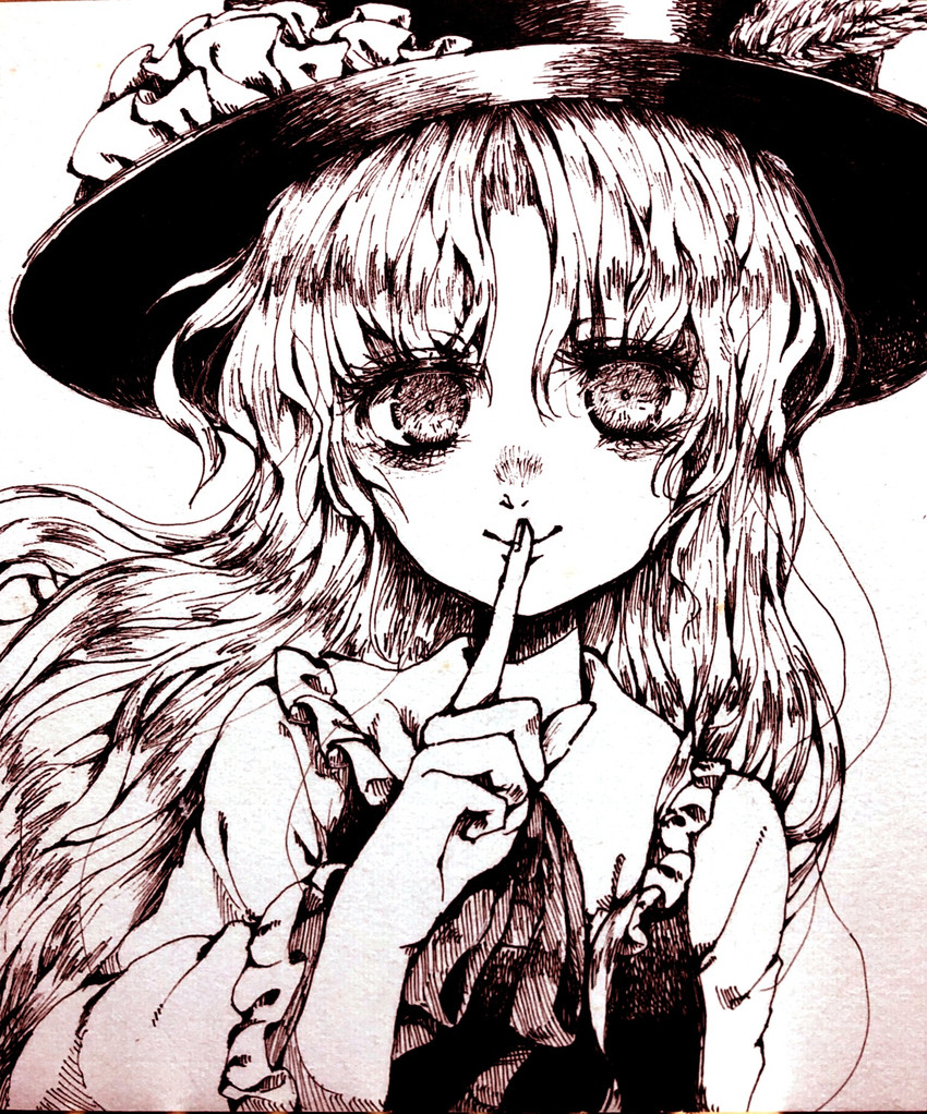 jacket girl (touhou and 1 more) drawn by meiousei_(mamea)