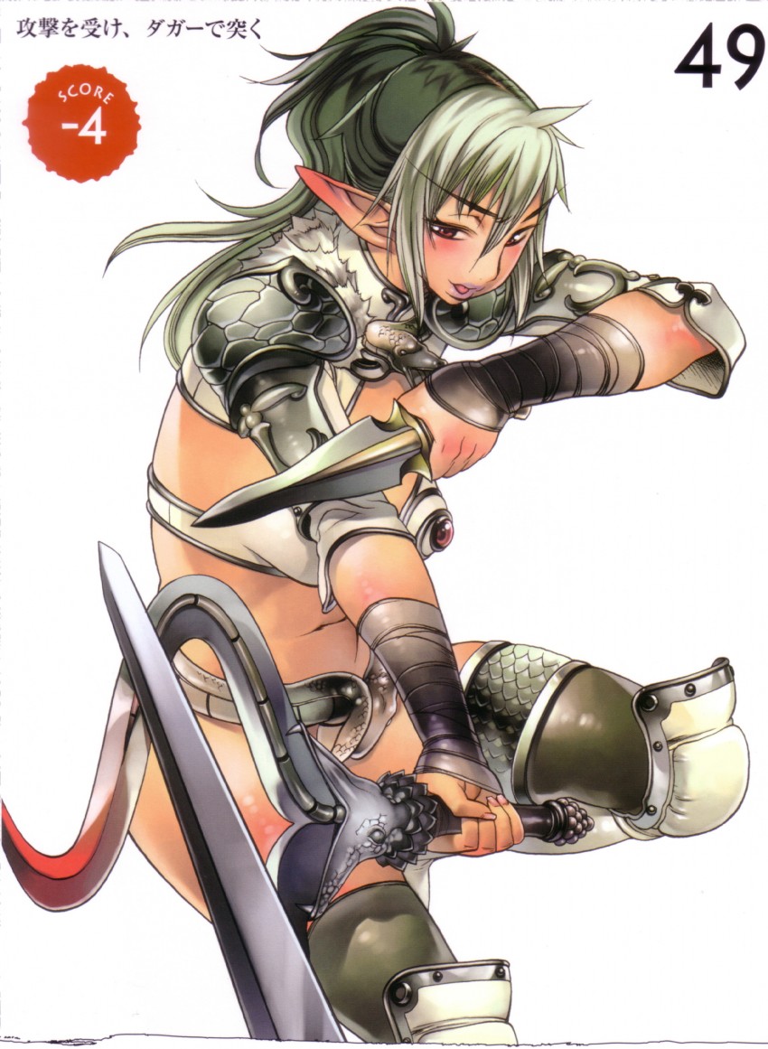 echidna and veteran mercenary echidna (queen's blade) drawn by f.s.