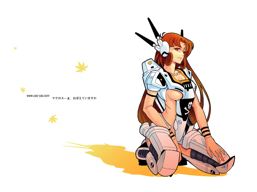 vf-1, hayase misa, and vf-1s (macross and 1 more) drawn by cao-cao