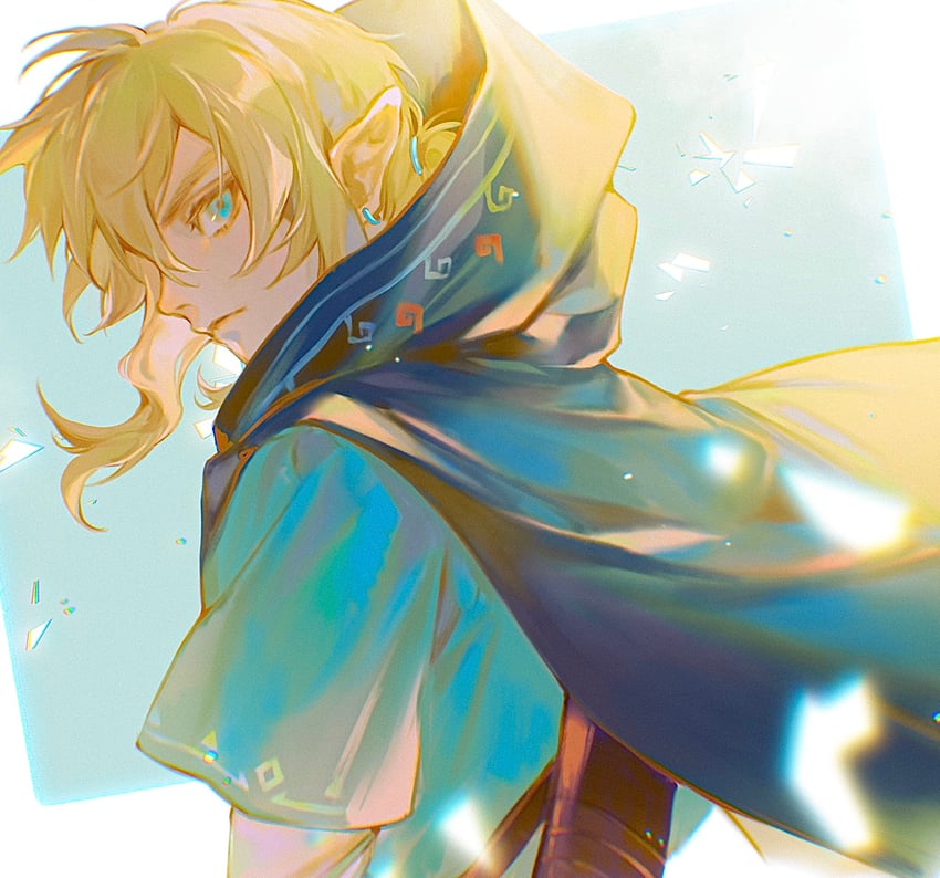 link (the legend of zelda and 1 more) drawn by sei_(_mo1008)