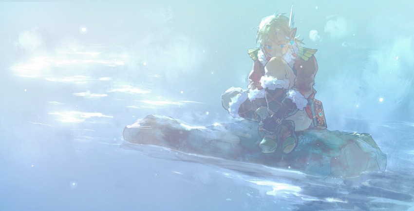 link (the legend of zelda and 1 more) drawn by lingcod_dayu