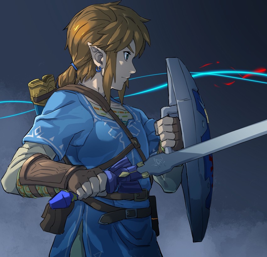link (the legend of zelda and 1 more) drawn by himuro_yukichiko