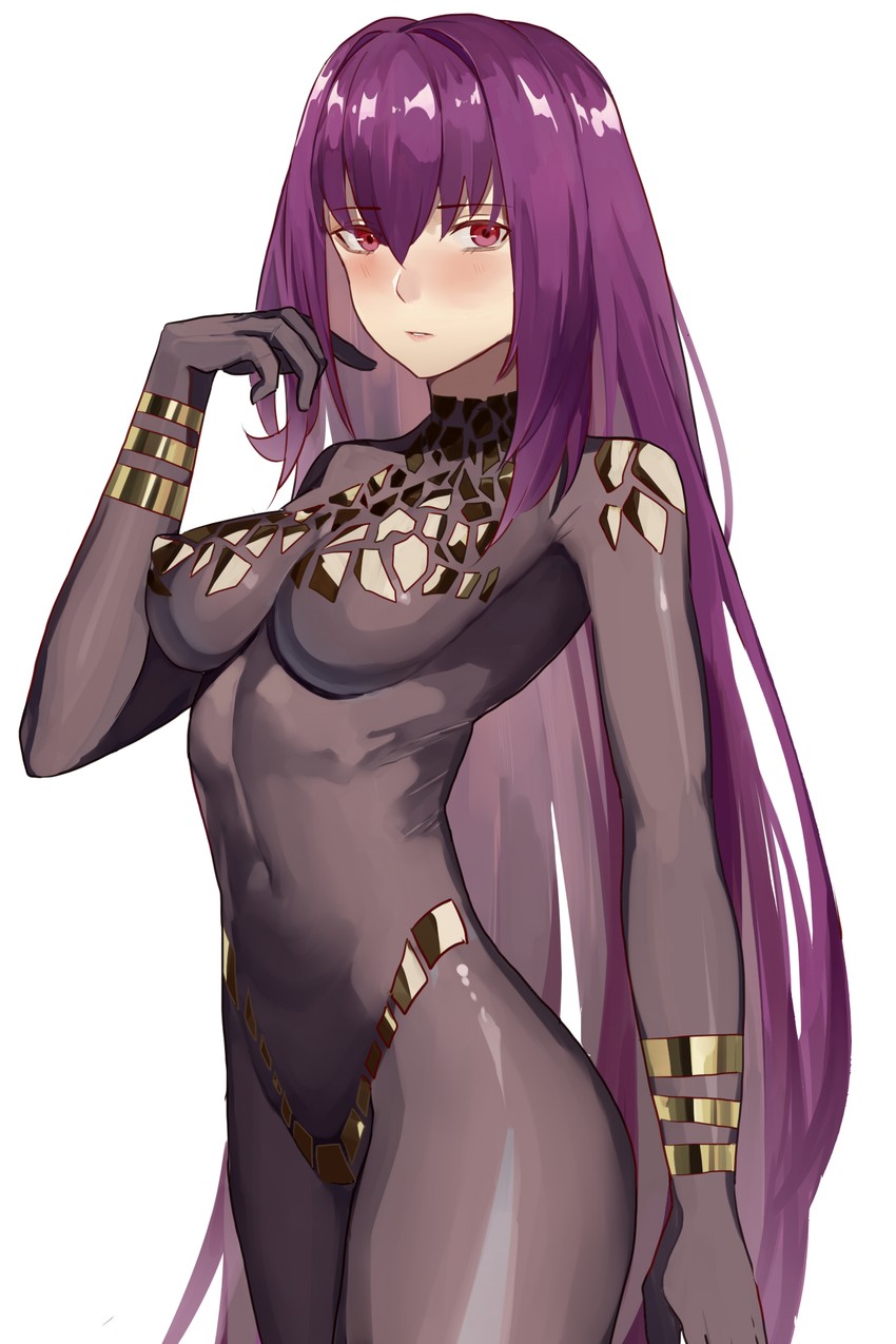 scathach (fate and 1 more) drawn by vic_(vedream)