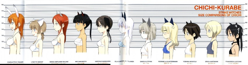 sanya v. litvyak, eila ilmatar juutilainen, miyafuji yoshika, erica hartmann, gertrud barkhorn, and 6 more (world witches series and 1 more) drawn by shimada_fumikane
