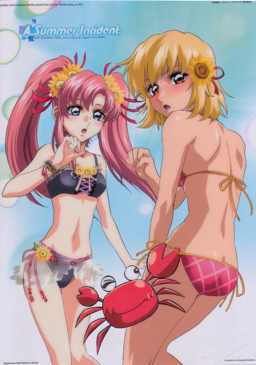 cagalli yula athha and lacus clyne (gundam and 2 more) drawn by hoshino_masumi