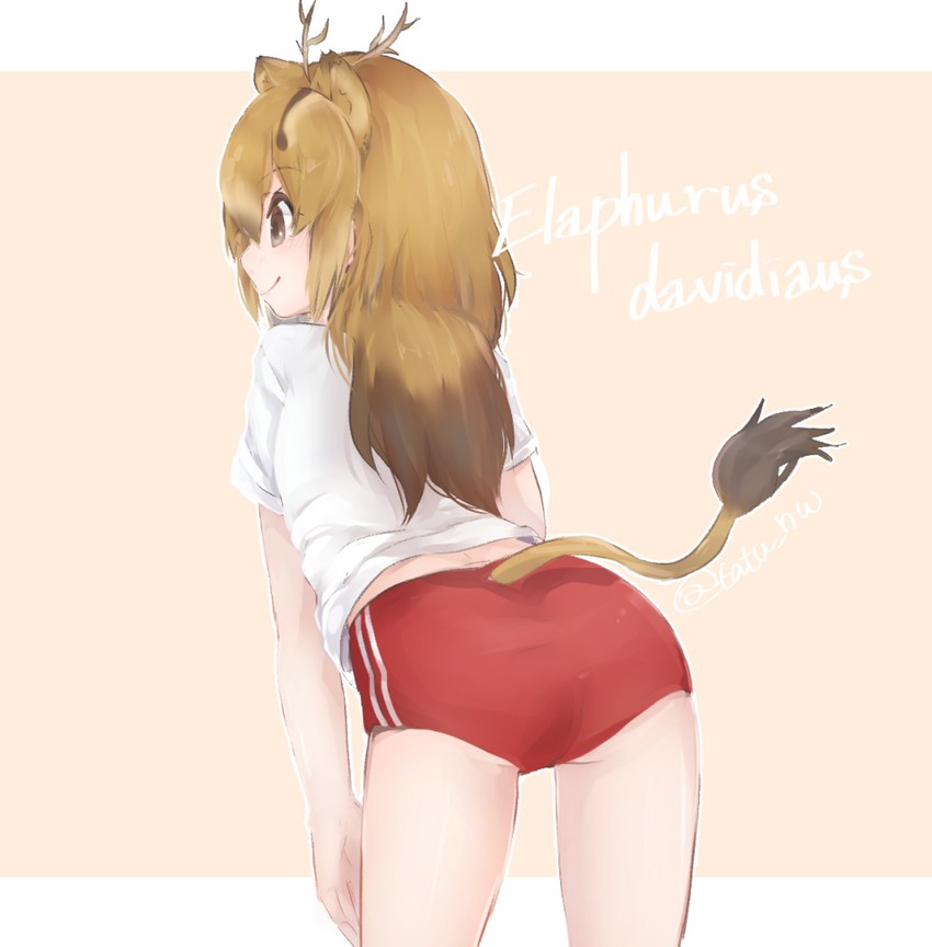 pere david's deer (kemono friends) drawn by tatsuno_newo