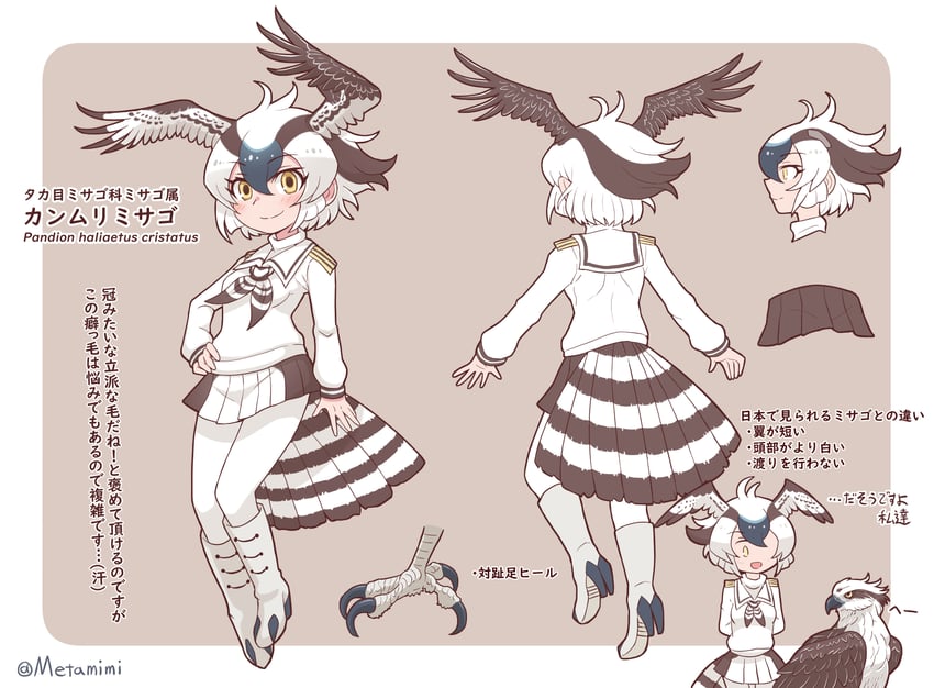 eastern osprey (original and 1 more) drawn by metamimi